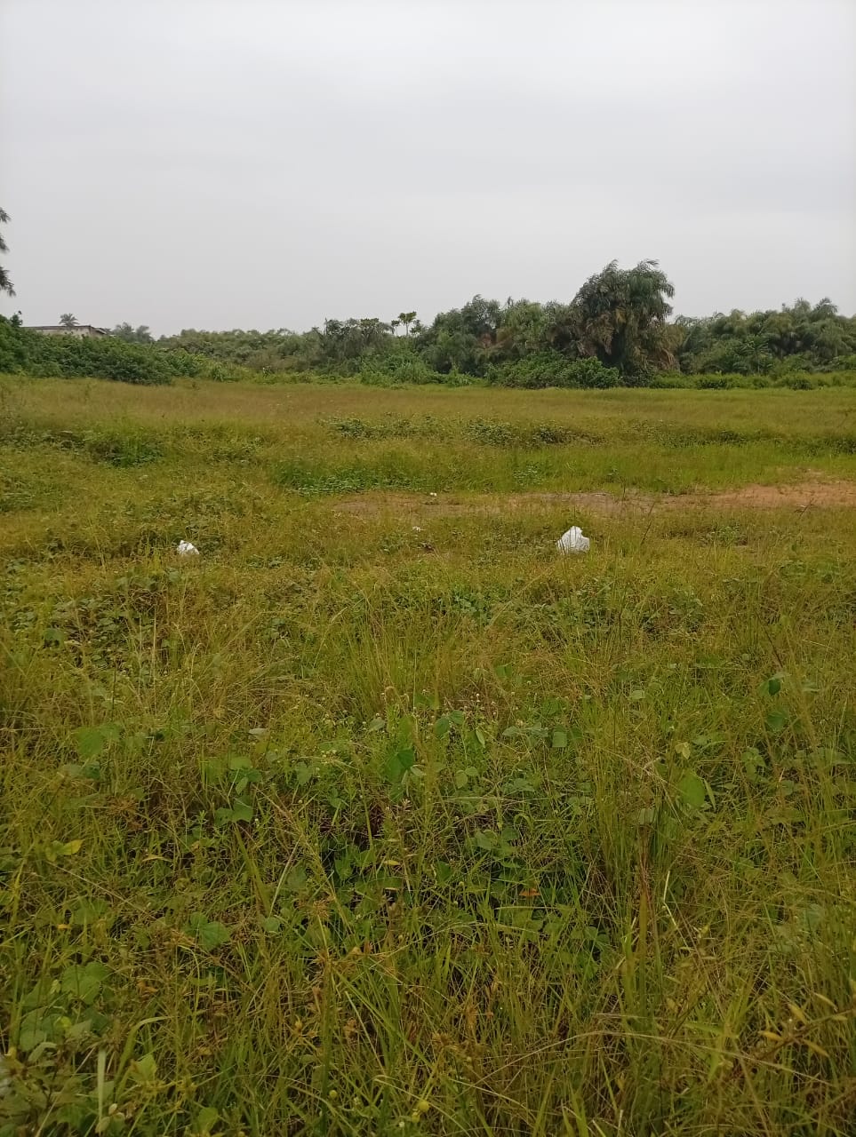 Parcelle Projet de lotissement — 123 hectares à Anyama – Azaguié- Gnaho